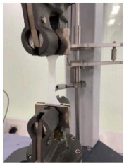 1741846854166385.png image.png