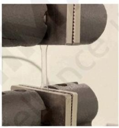 1741846894274632.png image.png